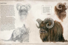 Bestiary Volume 1 Bantha
