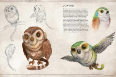 Bestiary Volume 1 Convor