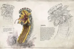 Bestiary Volume 1 Joopa