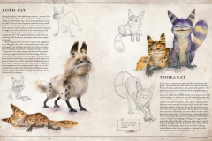 Bestiary Volume 1 Loth and Tooka Cat