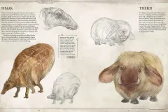 Bestiary Volume 1 Shaak & Therii