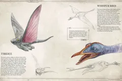 Bestiary Volume 1 Tibidee & Whisper Bird