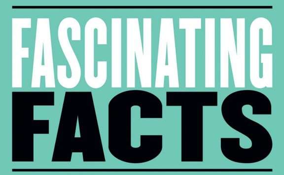 Fascinating Facts Cover