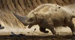 The Art of The Mandalorian