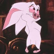 Foto del profilo di Bartok